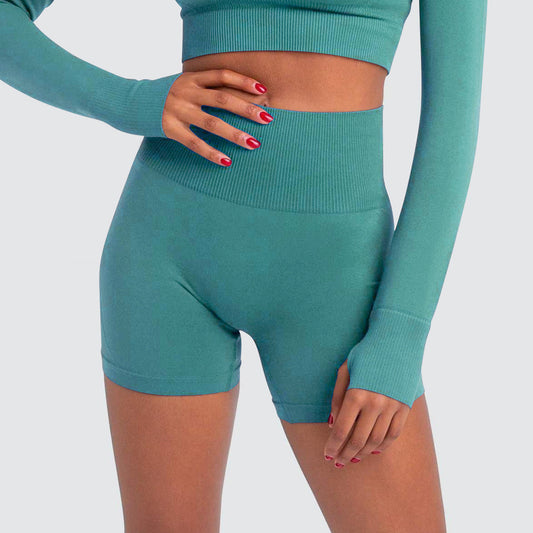 Seamless High Waisted Quick Dry Shorts